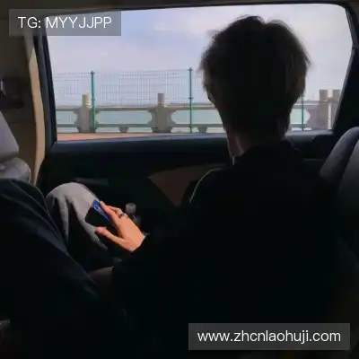 韶靓影
